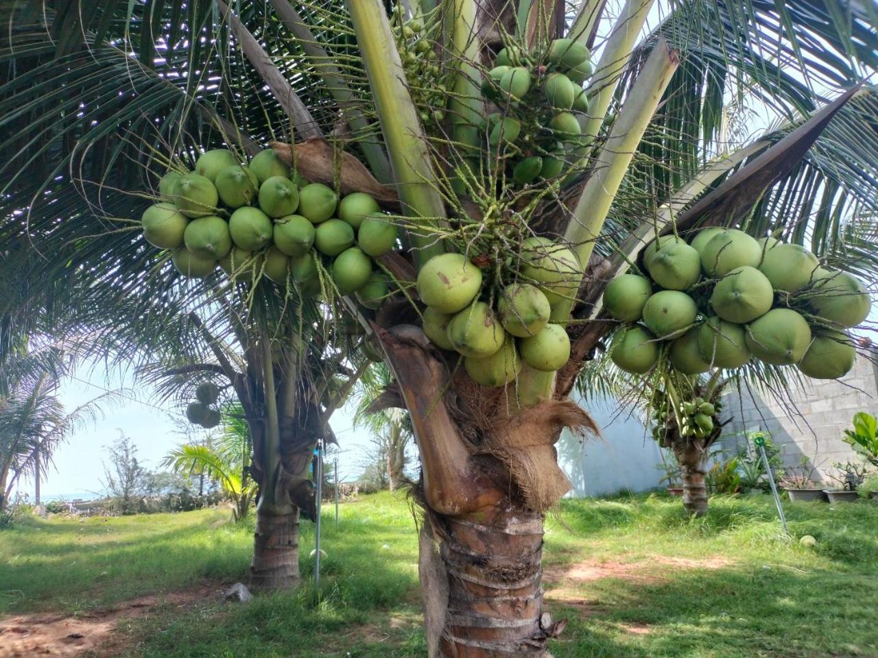 Bien Ngoc Homstay Phan Thiết Esterno foto