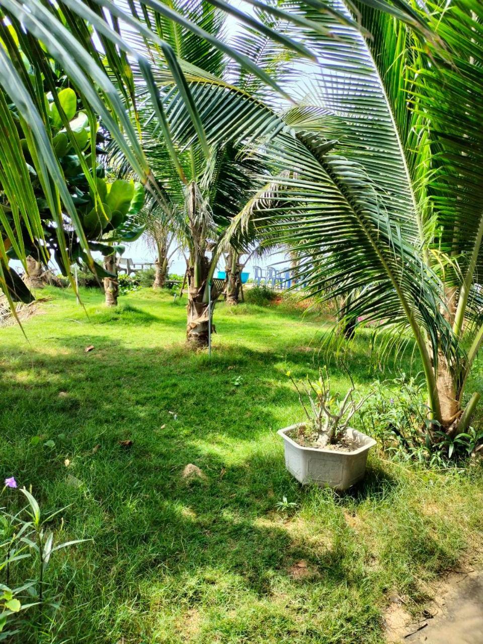 Bien Ngoc Homstay Phan Thiết Esterno foto