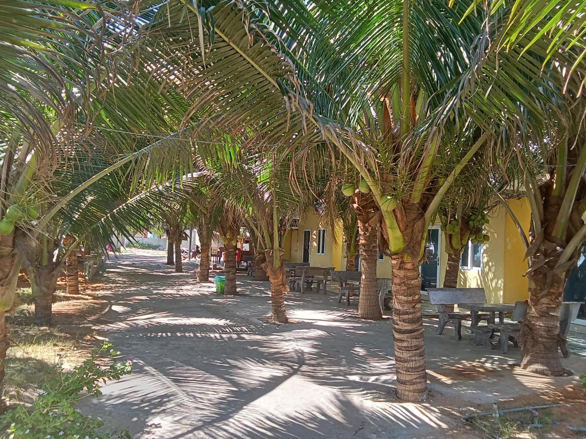 Bien Ngoc Homstay Phan Thiết Esterno foto